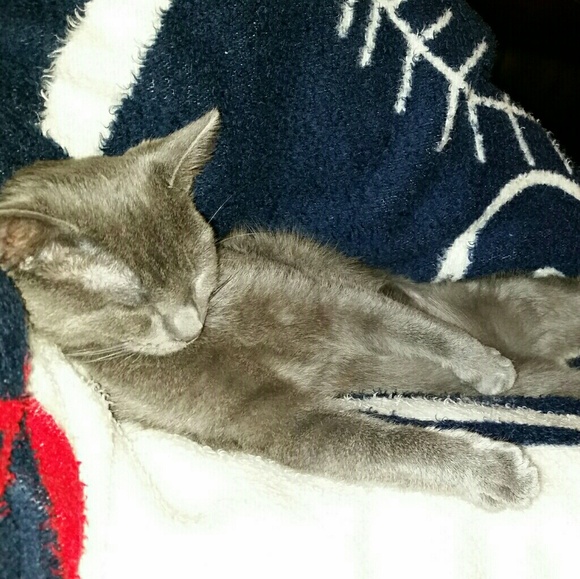 Meet your Posher, Magz - Picture 1 of 1